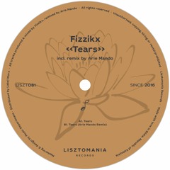 Fizzikx - Tears || Single
