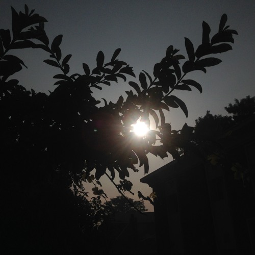 tapoosuna By Ghazal Enayat