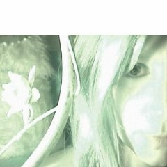 Not Everything I Believe Is True