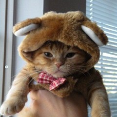 Frederic - Only Wonder (Cover)