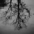 Artwork for Somewhere In Time: Rachmaninoff's Rhapsody On A Theme Of Paganini, Variation 18