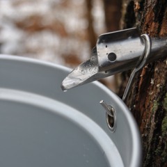 Water falling in a metal bucket (circular reverberation)