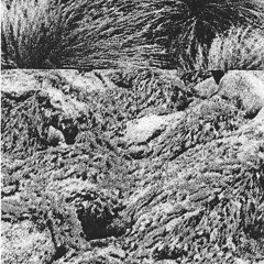 Cooper Bowman - Stastridple [RULE-148]