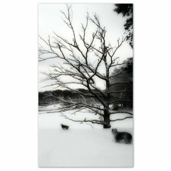 De blåser ifrån mitten av alla ting