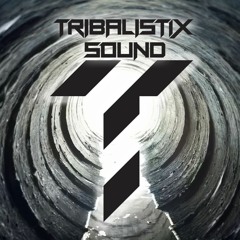 Tribalistix Sound - Bang Bang (Send Fi Odi & PishPosh)
