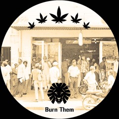 Mystic Pulse - Burn Them / Strictly Rubadub (Ft Pixel) (OUT NOW on Rasta Vibez 10")