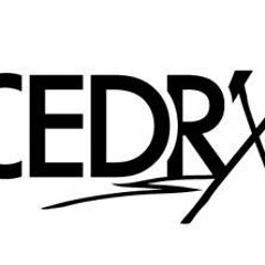 DBA 11_04_98 cedr'x
