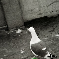 scum - sad songs (prod. dannydidthisone)