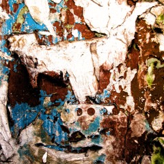 The Death of the Bee