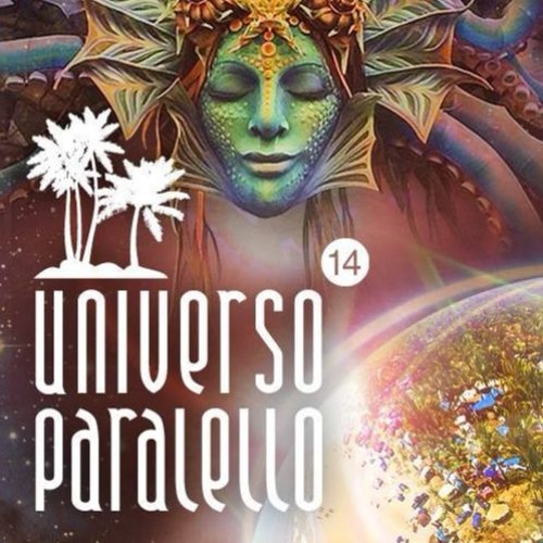 Psygroo @ Universo Paralelo 14 (Main stage)
