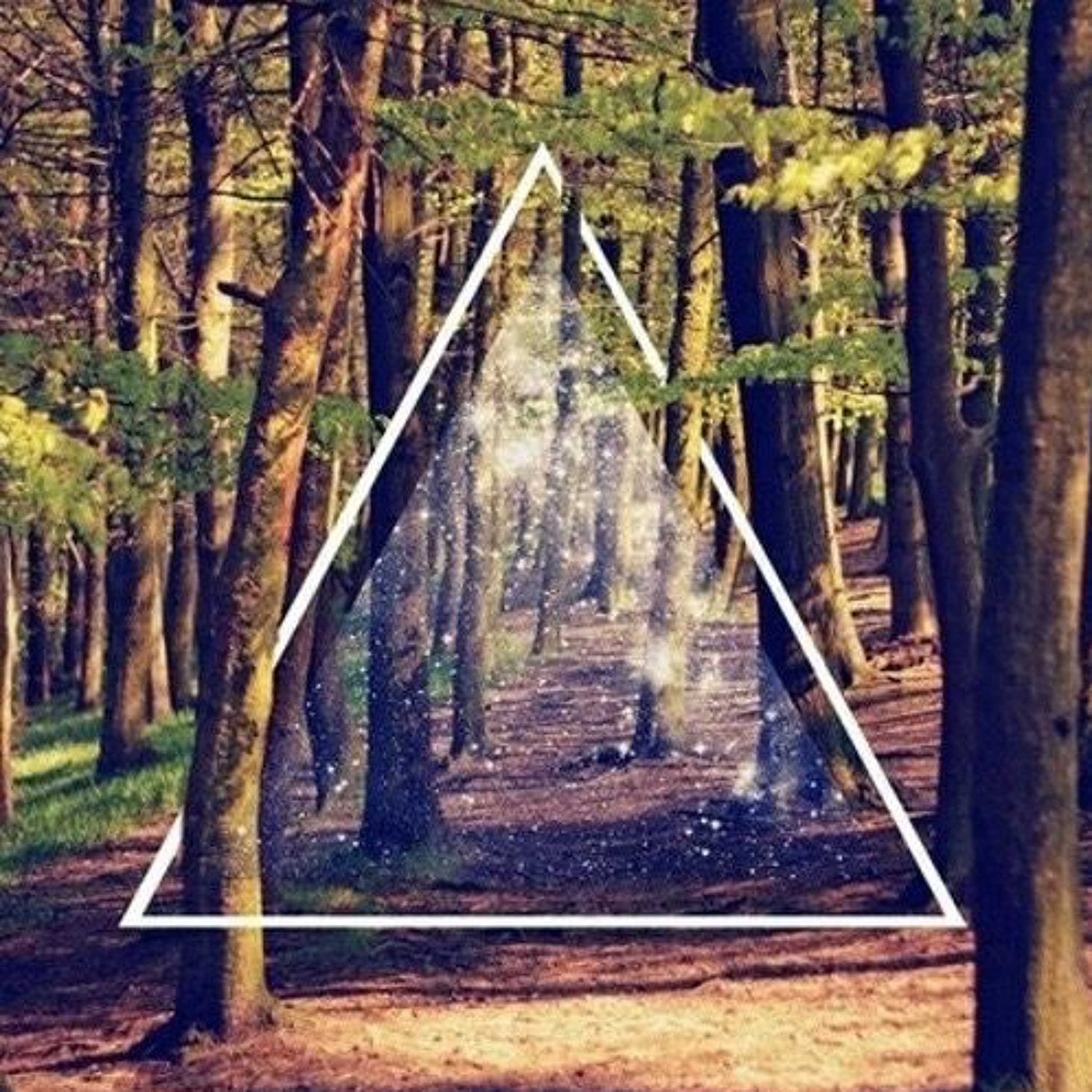 Forest Trip episode artwork