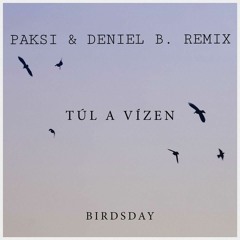 Birdsday - Túl A Vizen (PAKSI & Deniel B. Remix)