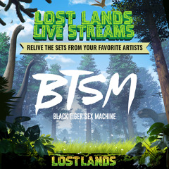 Black Tiger Sex Machine - Live @ Lost Lands 2017