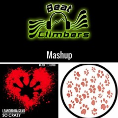 Pantera Crazy [Mashup] [Leandro Da Silva - So Crazy Vs PAWSA - The Groovy Cat]