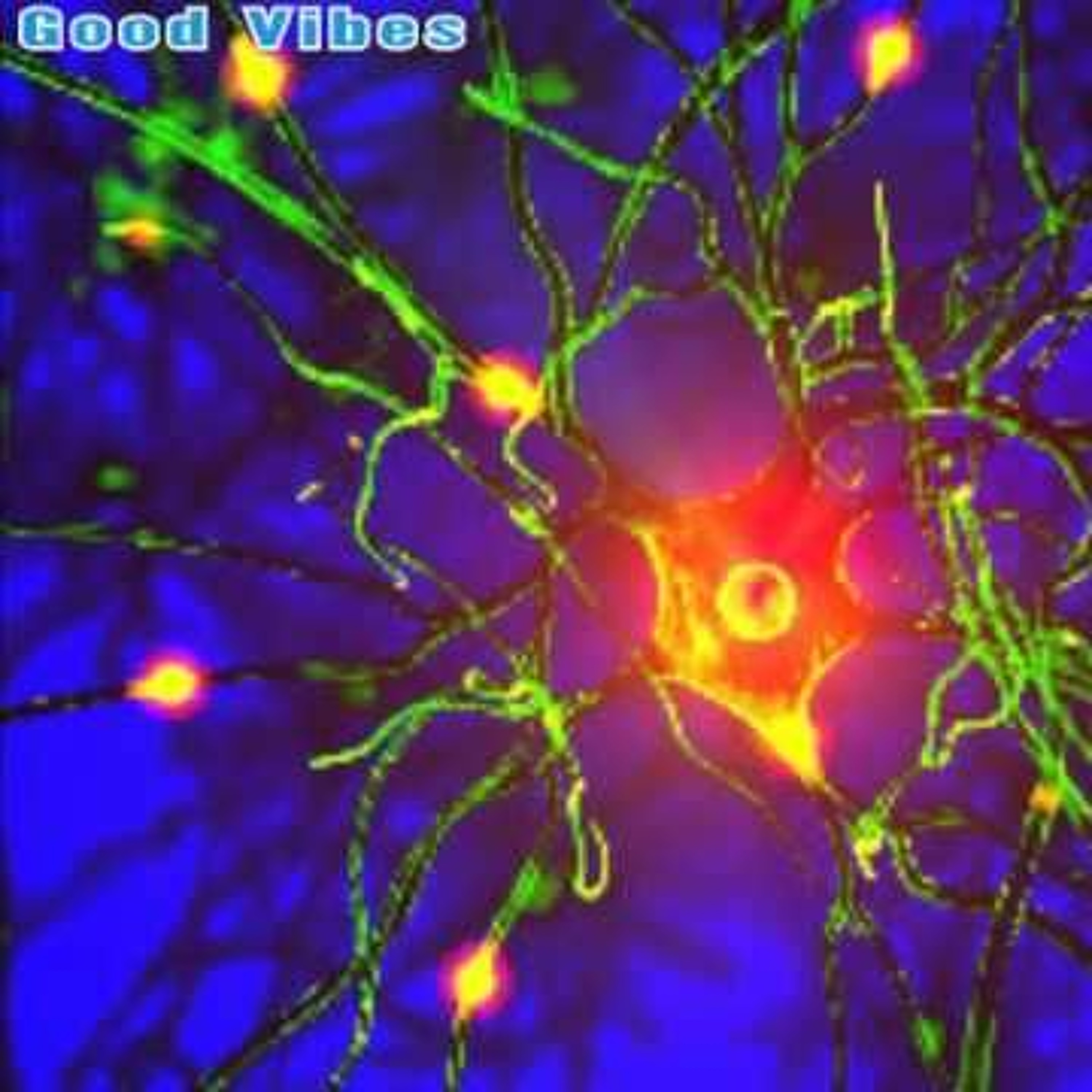Nerve - Regeneration ----> Good Vibes episode artwork