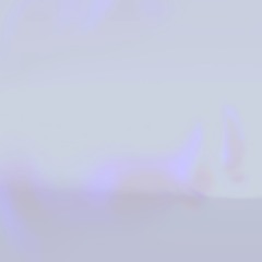 Rutger Muller - Vectral Void (with Josephine Bode & Wen Chin Fu)