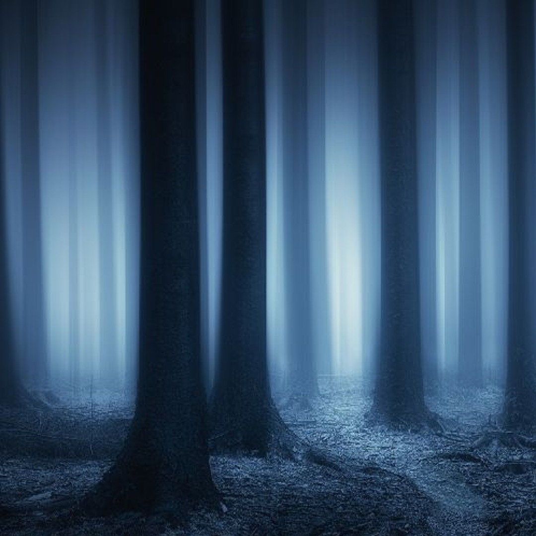 Elfen Dreams