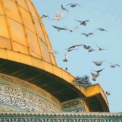 فمن للأمةِ الغرقاءِ..محمد عباس