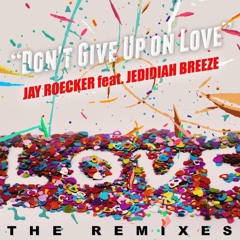 Don't Give Up On Love featuring Jedidiah Breeze Perry Twins Remix