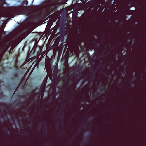 transience #01 with Lou Drago