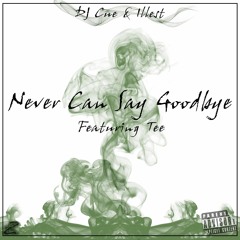 NEVER CAN SAY GOOD BYE