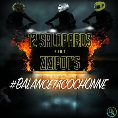 Les 12 Salopard - #Balancetacochonne (Feat. Les Zizipot's)(2018)-DX