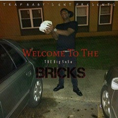 Welcome To The Bricks