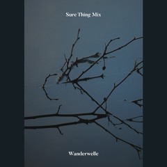 Sure Thing Mix 49: Wanderwelle