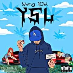 YSL (Prod.Banbwoi)
