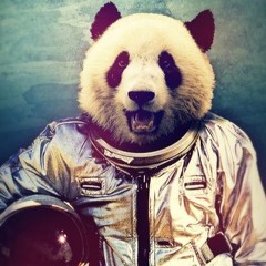 Un Panda Dans L'Espace