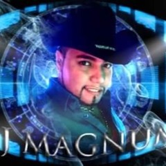 DJ MAGNUM LEVANTANDO POLVADERA - HUAPANGOS MIX