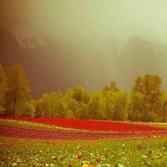 Gal Dil Di-A Kay Ft Amar Sajaalpuri