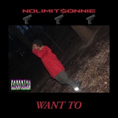 NOLIMITSONNIE - Want To (Prod. BasementSam)