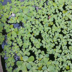 you look nice tonight - [PROD. BY rororaven x bump clan]