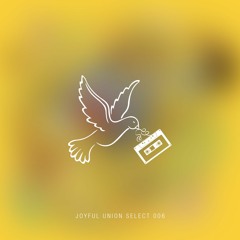 Joyful Union Select 006
