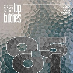 VNNTB Presents: 50 Vietnamese Songs of 2017