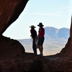 Beautiful world comp2