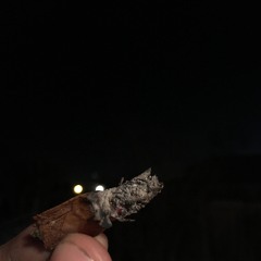 Buzzz fEat. INZ [Prod. Cotton Candy Caleb]