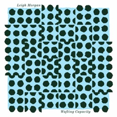 Leigh Morgan - Delicate Doors - Fancy Human