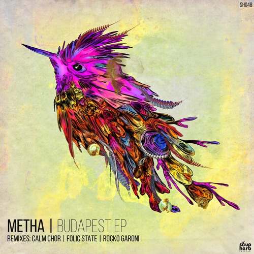 [SNIPPET]_Mehta_-_Massive_Budapest_(_Folic_State_Remix_)