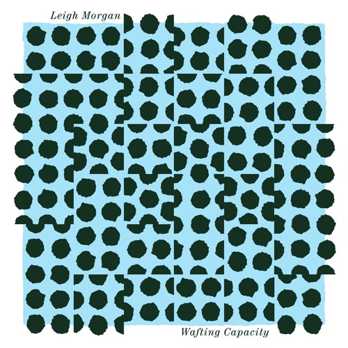 Leigh Morgan - Wafting Capacity - Fancy Human