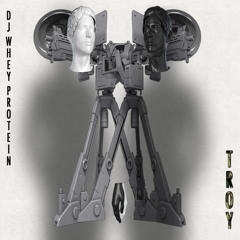 DJ Whey Protein - Troy (it has fallen so we are in love)