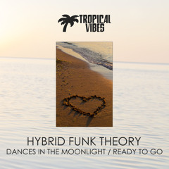 Hybrid Funk Theory - Dances In The Moonlight (Original Mix)