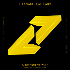 DJ Snake feat. Lauv - A Different Way (SUBSHOCK & EVANGELOS REMIX)