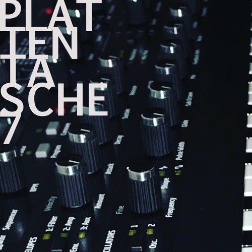 Plattentasche 7