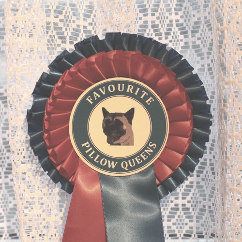 PILLOW QUEENS - Favourite