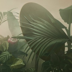 1.DJ Fabe Borneo Island