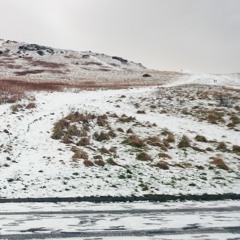 Salt Dunes (2014)