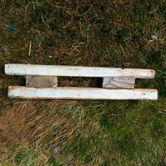 Centre and Periphery [excerpt from Tsonami Festival, Concepcíon]