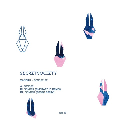 SCRTC003 B.2 Sonder Sedee Rmx
